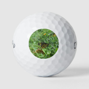 Pelotas De Golf Una mariposa monarca