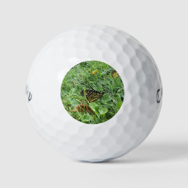 Pelotas De Golf Una mariposa monarca (Anverso)