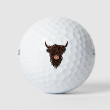 Vaca Altlandesa Escocesa
