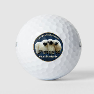 Pelotas De Golf Valais Blacknose - ¡La oveja más guapa del mundo!