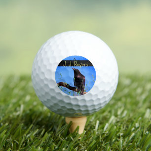 Pelotas De Golf Vida silvestre (3-Pack) Raven Bird personalizada