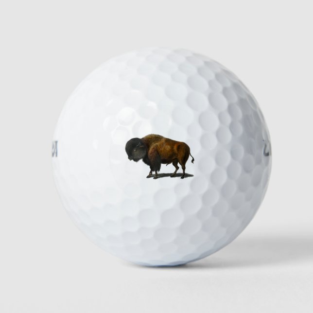 Pelotas De Golf Vintage bison buffalo illustration (Anverso)