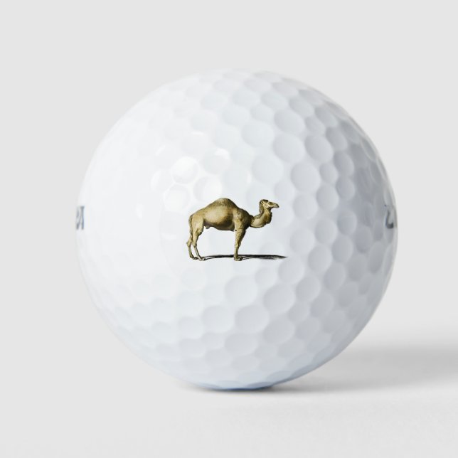 Pelotas De Golf Vintage camel (Anverso)