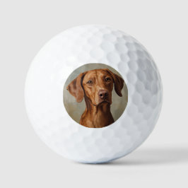 Pelotas De Golf Visla