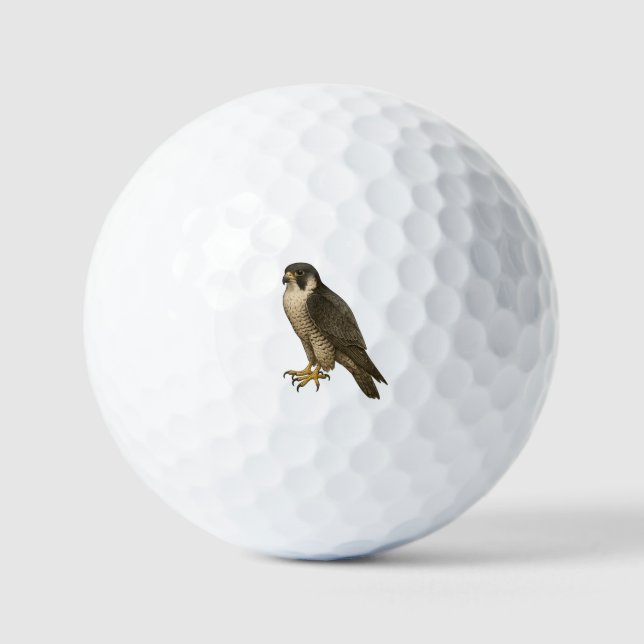 Pelotas De Golf Wanderfalke (Anverso)