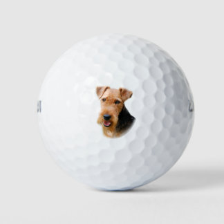 Pelotas De Golf Welsh Terrier