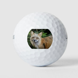 Pelotas De Golf Wild Fox