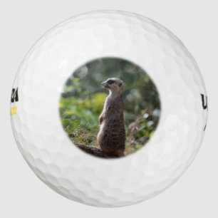 Pelotas De Golf Wild Meerkat