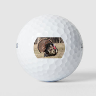 Pelotas De Golf Wilson Golf Balls con Tom Turkey