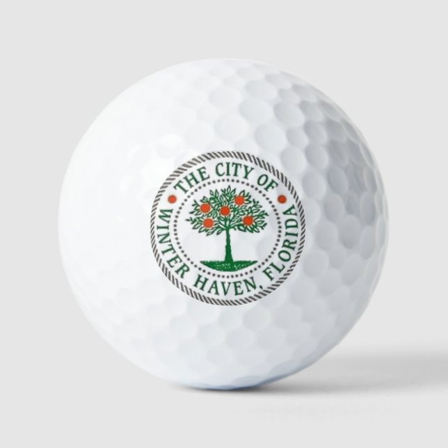 PELOTAS DE GOLF WINTER HAVEN FLORIDA (Anverso)