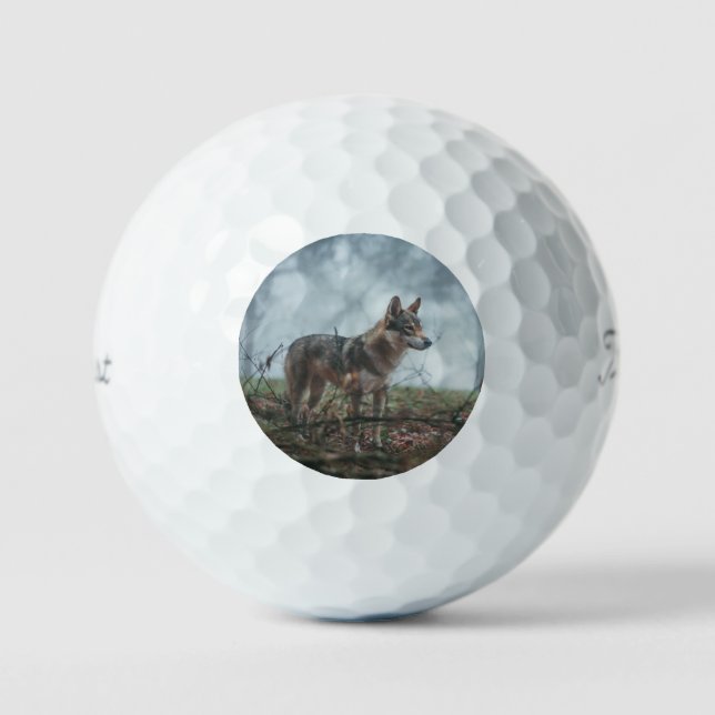 Pelotas De Golf Wolfdog (Anverso)