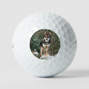 Pelotas De Golf Wolfdog