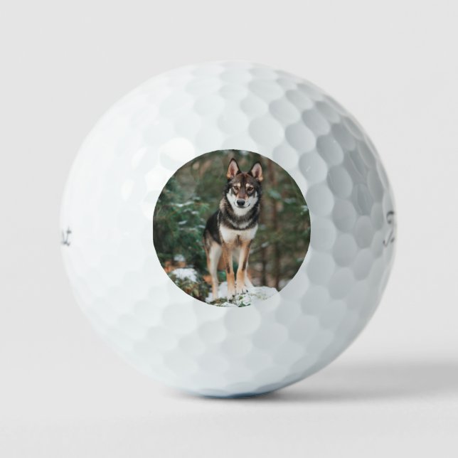 Pelotas De Golf Wolfdog (Anverso)