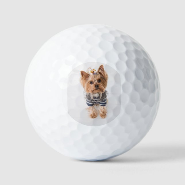 Pelotas De Golf yorkie-in sweater (Anverso)