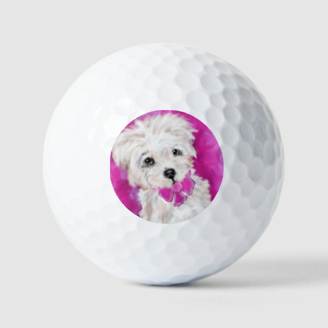 PELOTAS DE GOLF YORKIE POO (Anverso)