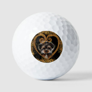 Pelotas De Golf Yorkie Poo