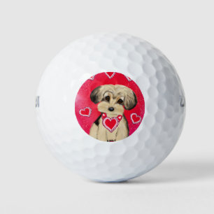 PELOTAS DE GOLF YORKIE POO
