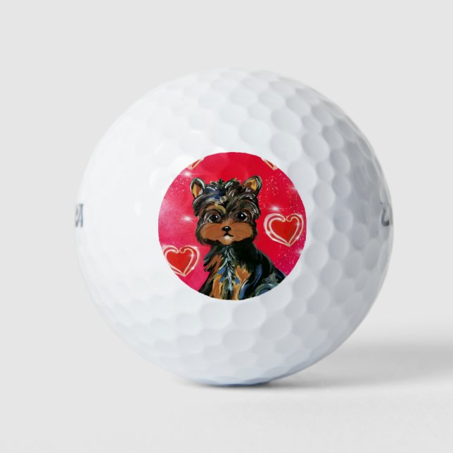 Pelotas De Golf Yorkie Poo San Valentín (Anverso)