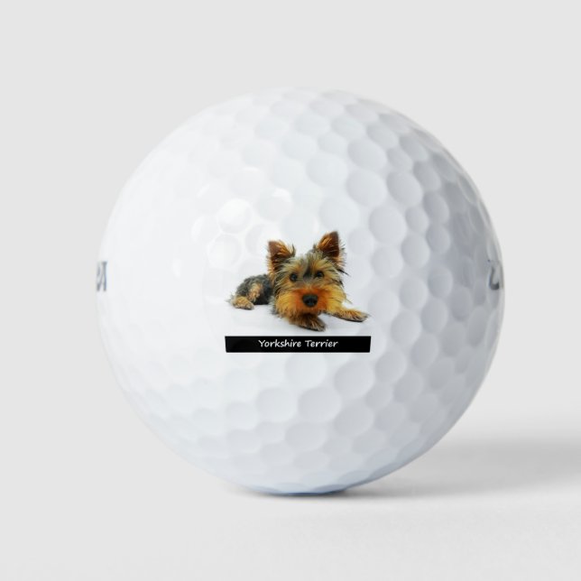 Pelotas De Golf Yorkshire Terrier (Anverso)
