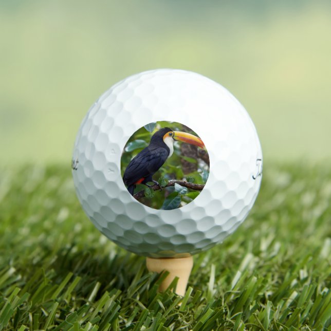 Pelotas De Golf You Toucan Sit In The Treetops, (Camiseta in situ)