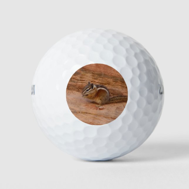 Pelotas De Golf Zion Chipmunk sobre las rocas rojas (Anverso)