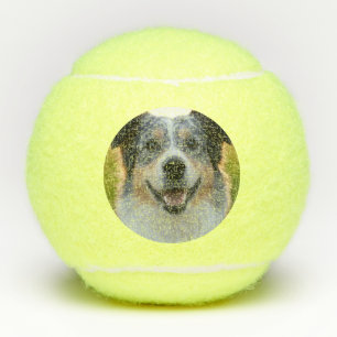 Pelotas De Tenis Añadir Personalizar de fotografía Mascota