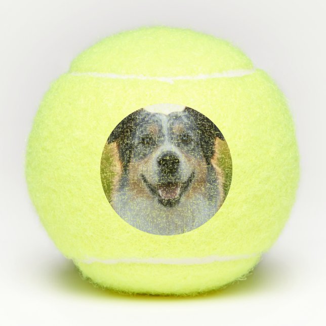 Pelotas De Tenis Añadir Personalizar de fotografía Mascota (Anverso)