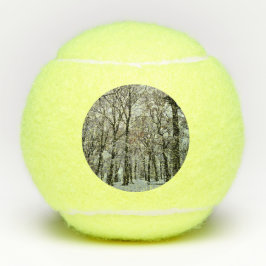 Pelotas De Tenis Árboles, en la nieve