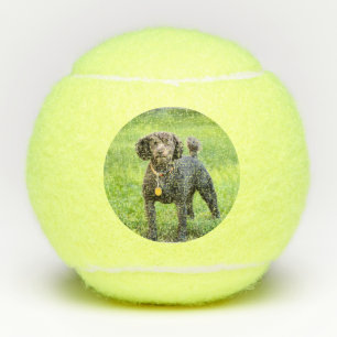 Pelotas De Tenis Bonjour