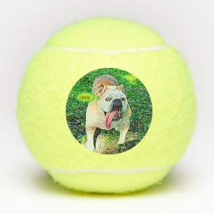 Pelotas De Tenis Bulldog feliz de queso con lengua fuera