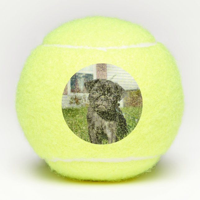 Pelotas De Tenis Cachorro negro (Anverso)