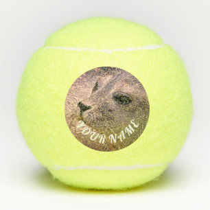Pelotas De Tenis Campeonato de Pensilvania PERSONALIZABLE de BALL S