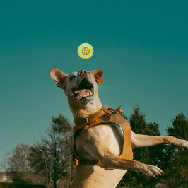 Pelotas De Tenis Chile verde chile rojo zile sun