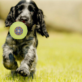 Pelotas De Tenis Colorante multicolor del globo ocular del corazón