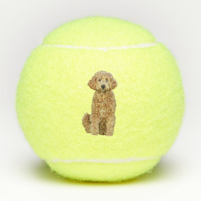 Pelotas de tenis con el goldendoodle (Anverso)