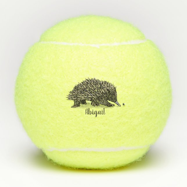 Pelotas De Tenis Cute echidna con ilustracion de personalizado de a (Anverso)