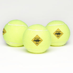 Pelotas De Tenis Dinosaur Xing