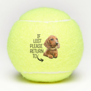Pelotas De Tenis Divertido Si se pierde, vuelva a la foto del perro