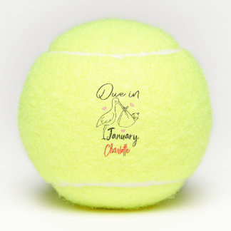 Pelotas De Tenis En Enero, El Cisne Cute Lleva Un Recién nacido Div