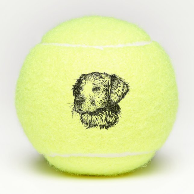 Pelotas De Tenis Esbozo de cabeza canina (Anverso)