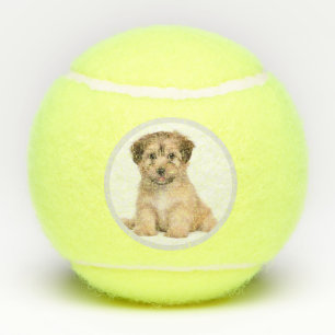 Pelotas De Tenis Foto de perro personalizada Personalizado