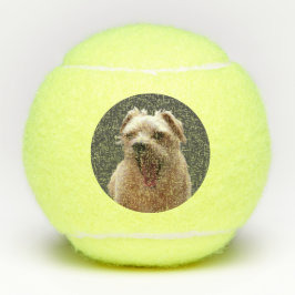 Pelotas De Tenis Foto divertida de perro