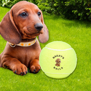 Pelotas De Tenis Foto divertida de perro personalizada