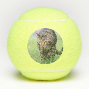 Pelotas De Tenis Gabe