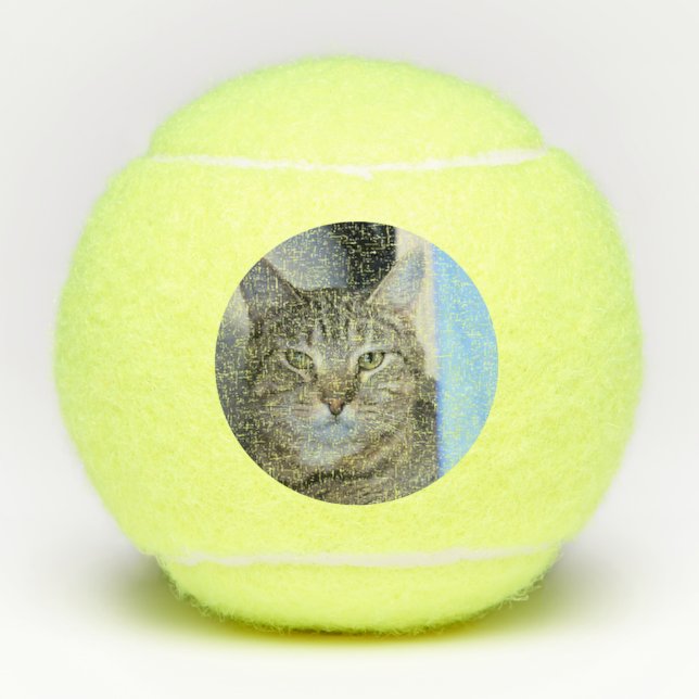 Pelotas De Tenis Gato (Anverso)