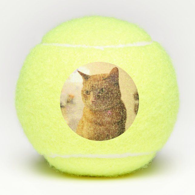 Pelotas De Tenis Gato (Anverso)