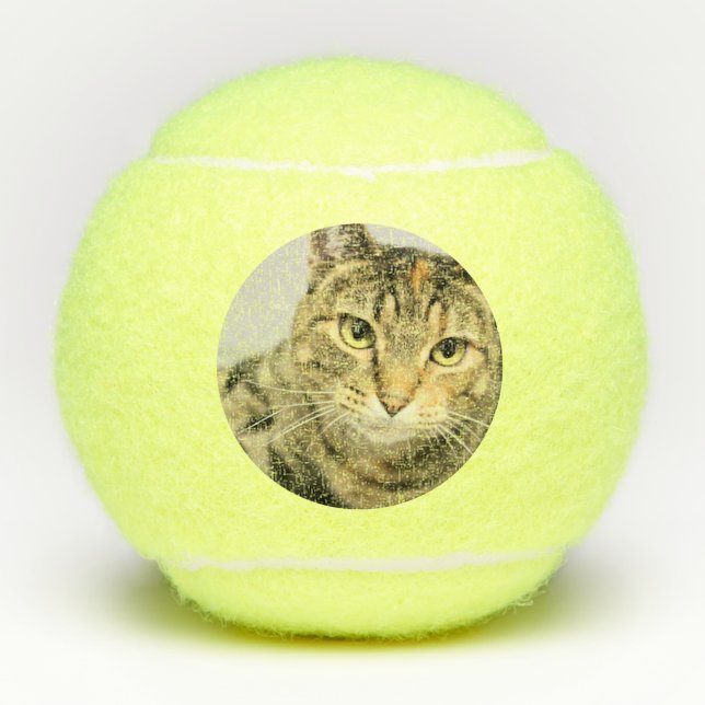 Pelotas De Tenis Gato (Anverso)