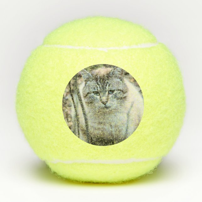 Pelotas De Tenis Gato (Anverso)