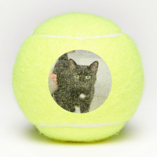 Pelotas De Tenis Gato