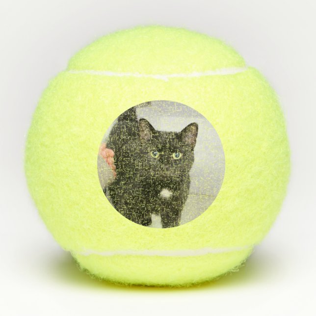 Pelotas De Tenis Gato (Anverso)